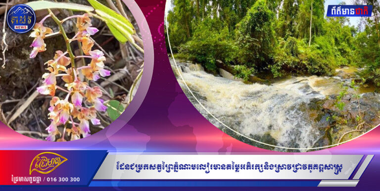 ដែនជម្រកសត្វព្រៃភ្នំណាមលៀរមានតម្លៃអភិរក្សនិងស្រាវជ្រាវភូគព្ភសាស្រ្ត ជីវចម្រុះ និងវប្បធម៌ជនជាតិដើមភាគតិច