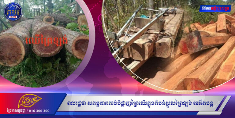 ពលរដ្ឋថា សកម្មភាពកាប់បំផ្លាញព្រៃឈើក្នុងតំបន់ស្នូលព្រៃឡង់ នៅតែបន្ត ដោយមានក្រុមហ៊ុន PNT របស់ឧកញ៉ា ឡេង ប្ញទ្ធី ជាអ្នកនៅពីក្រោយខ្នង