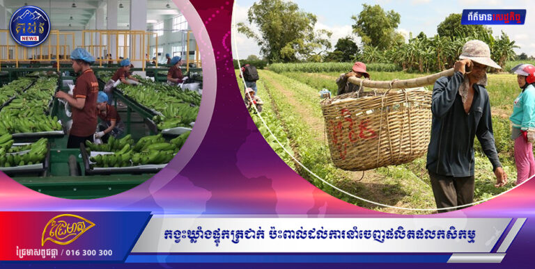 កង្វះឃ្លាំងផ្ទុកត្រជាក់ប៉ះពាល់ដល់ការនាំចេញផលិតផលកសិកម្ម