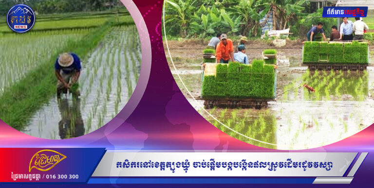 កសិករនៅខេត្តត្បូងឃ្មុំ ចាប់ផ្ដើមបង្កបង្កើនផលស្រូវដើមរដូវវស្សាបានជិត១២ភាគរយហើយ