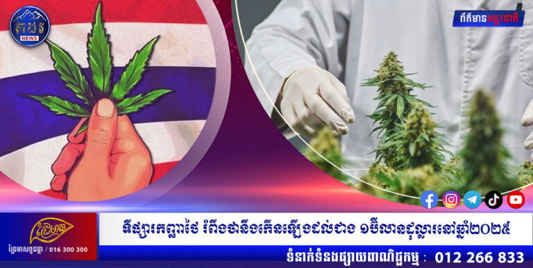 ទីផ្សារកញ្ឆាថៃ រំពឹងថានឹងកើនឡើងដល់ជាង ១ប៊ីលានដុល្លារនៅឆ្នាំ២០២៥