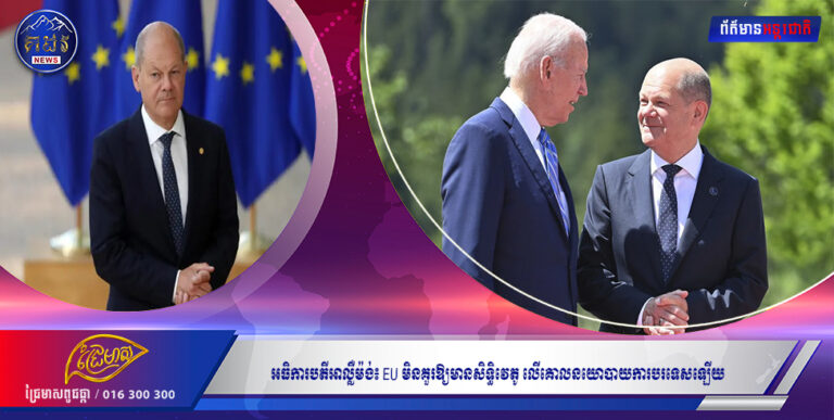 អធិការបតីអាល្លឺម៉ង់៖ EU មិនគួរឱ្យមានសិទ្ធិវេតូ លើគោលនយោបាយការបរទេស ឡើយ