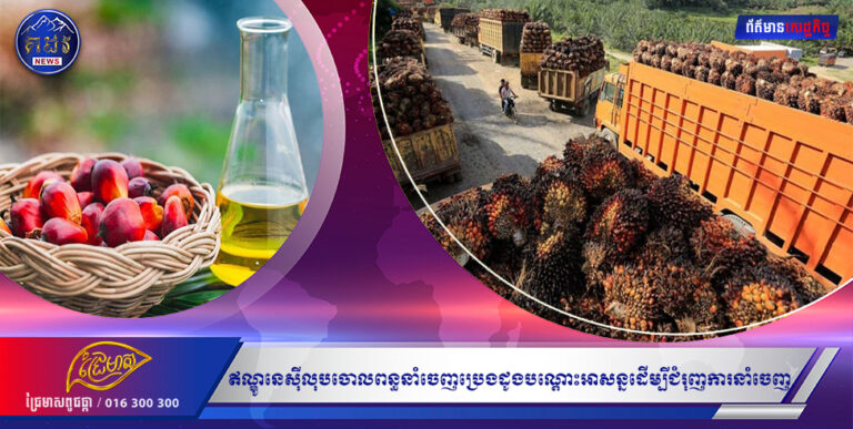 ឥណ្ឌូនេស៊ីលុបចោលពន្ធនាំចេញប្រេងដូងបណ្តោះអាសន្នដើម្បីជំរុញការនាំចេញ