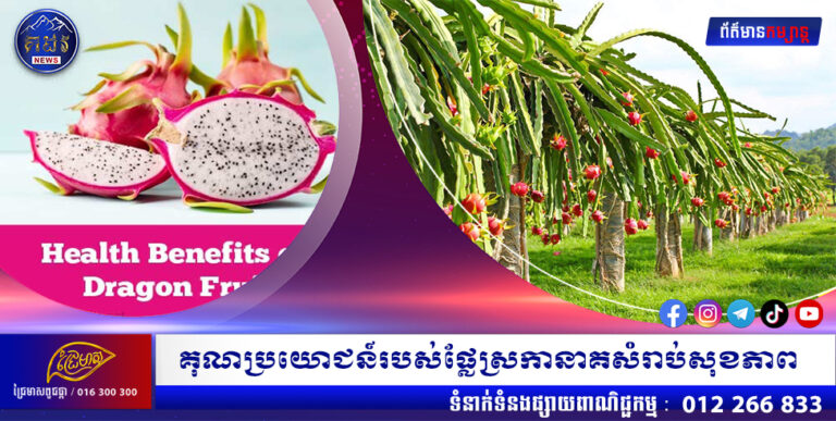 គុណប្រយោជន៍របស់ផ្លែស្រកានាគសំរាប់សុខភាព