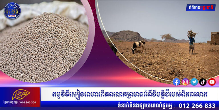 កម្មវិធីស្បៀងអាហារពិភពលោកព្រមានអំពីវិបត្តិជីរបស់ពិភពលោក