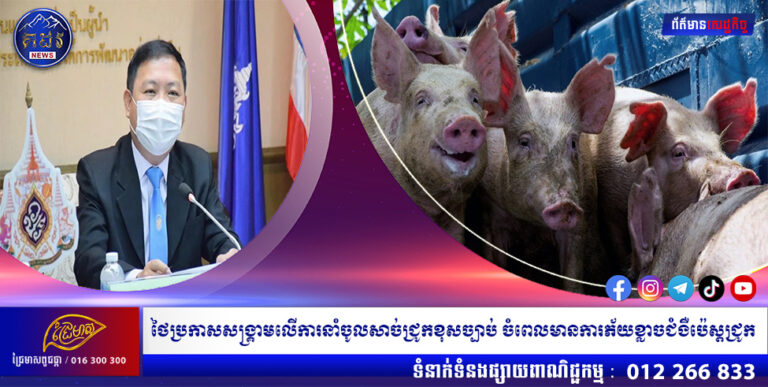 ថៃប្រកាសសង្គ្រាមលើការនាំចូលសាច់ជ្រូកខុសច្បាប់ ចំពេលមានការភ័យខ្លាចជំងឺប៉េស្តជ្រូក