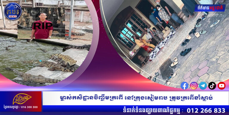 ម្ចាស់កសិដ្ឋានចិញ្ចឹមក្រពើ នៅក្រុងសៀមរាប ត្រូវក្រពើខាំស្លាប់
