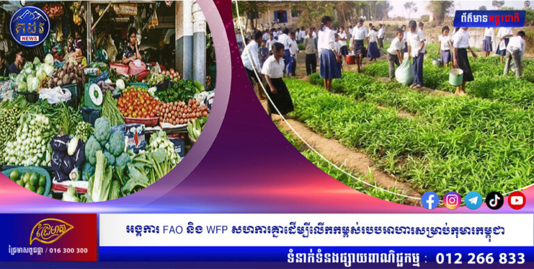 អង្គការ FAO និង WFP សហការគ្នាដើម្បីលើកកម្ពស់របបអាហារសម្រាប់កុមារកម្ពុជា
