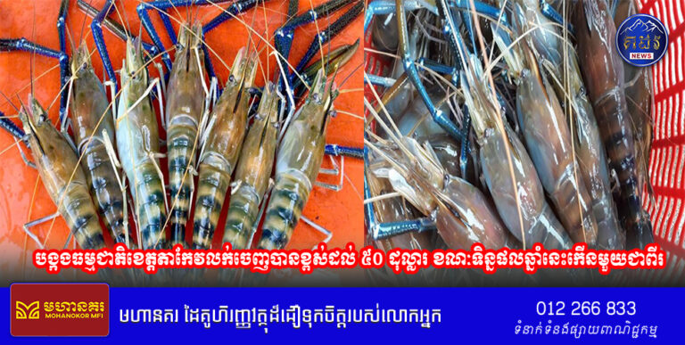 បង្កងធម្មជាតិខេត្តតាកែវលក់ចេញបានខ្ពស់ដល់ ៥០ ដុល្លារ ខណៈទិន្នផលឆ្នាំនេះកើនមួយជាពីរ