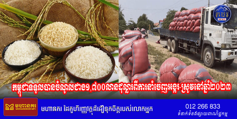 កម្ពុជាទទួលបានចំណូលជាង១,៧០០លានដុល្លារពីការនាំចេញអង្ករ-ស្រូវនៅឆ្នាំ២០២៣