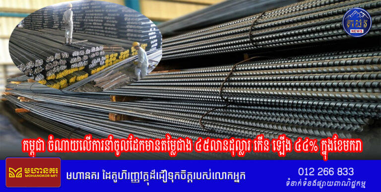 កម្ពុជា ចំណាយលើការនាំចូលដែកមានតម្លៃជាង ៤៥លានដុល្លារ កើន ឡើង ៤៤% ក្នុងខែមករា