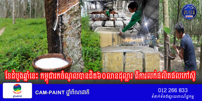 ខែដំបូងឆ្នាំនេះ កម្ពុជារកចំណូលបានជិត៦០លានដុល្លារ ពីការលក់ផលិតផលកៅស៊ូ