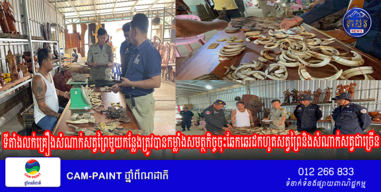 ទីតាំងលក់គ្រឿងសំណាក់សត្វព្រៃមួយកន្លែងត្រូវបានកម្លាំងសមត្ថកិច្ចចុះឆែកឆេរដកហូតសត្វព្រៃនិងសំណាក់សត្វជាច្រើន