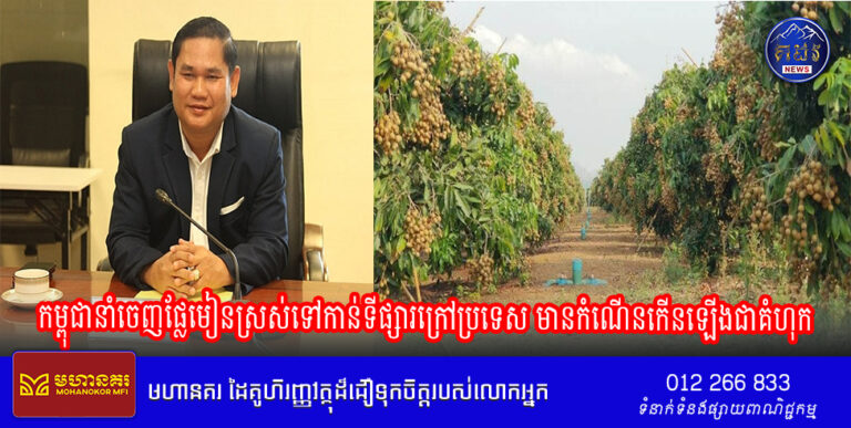 កម្ពុជានាំចេញផ្លែមៀនស្រស់ទៅកាន់ទីផ្សារក្រៅប្រទេស មានកំណើនកើនឡើងជាគំហុក