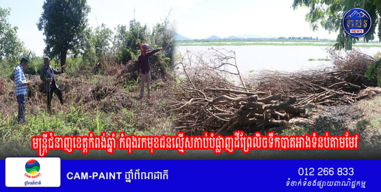 មន្ត្រីជំនាញខេត្តកំពុងឆ្នាំ កំពុងស្វែងរកមុខជនល្មើស កាប់បំផ្លាញដីព្រៃលិចទឹកបាតអាងទំនប់តាមែវ ដែលជាជម្រកត្រីពងកូន និងជាតំបន់សត្វស្លាបរស់នៅ