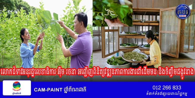 លោកជំទាវអនុរដ្ឋលេខាធិការ អ៊ឹម រចនា អញ្ជើញពិនិត្យវឌ្ឍនភាព​ការងារដាំដើមមន និងចិញ្ចឹមដង្កូវនាង នៅសិប្បកម្មតម្បាញនៃក្រុមហ៊ុន​សិប្បករអង្គរ ក្នុងស្រុកពួក ខេត្តសៀមរាប