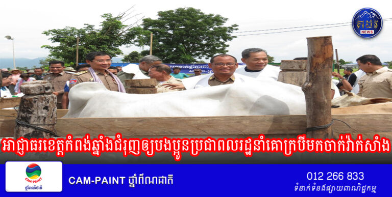 អាជ្ញាធរខេត្តកំពង់ឆ្នាំងជំរុញឲ្យបងប្អូនប្រជាពលរដ្ឋនាំគោក្របីមកចាក់វ៉ាក់សាំង