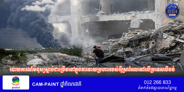 បើទោះបីជាមានបទឈប់បាញ់ក៏ដោយ របាយការណ៍មនុស្សស្លាប់ជាច្រើននៅក្នុងការវាយប្រហាររបស់អ៊ីស្រាអែលទៅលើប្រទេសលីបង់